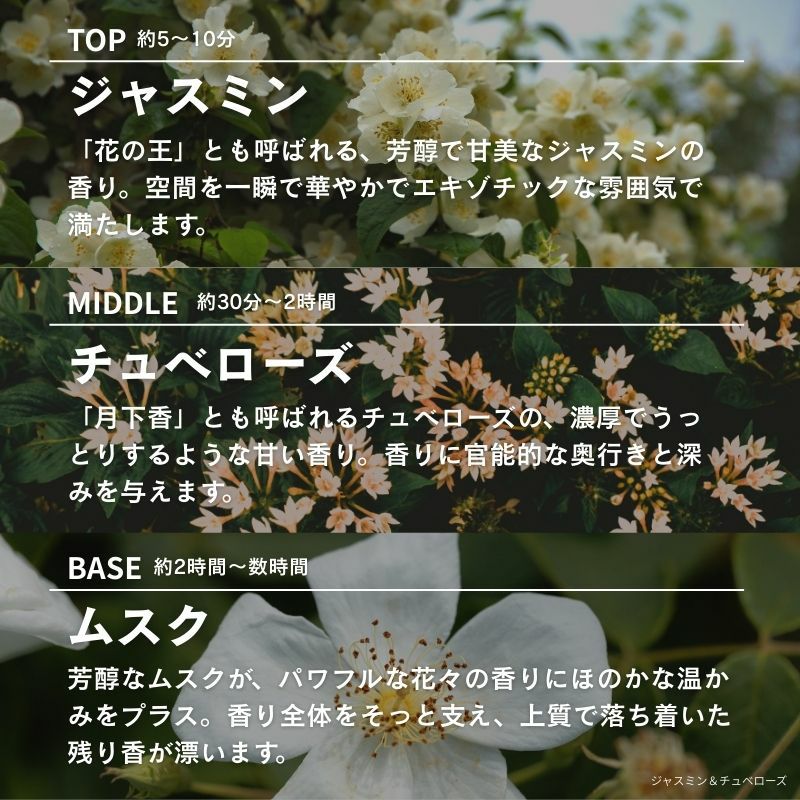 ランプフレグランス ジャスミン＆チュベローズ 500ml フレグランス