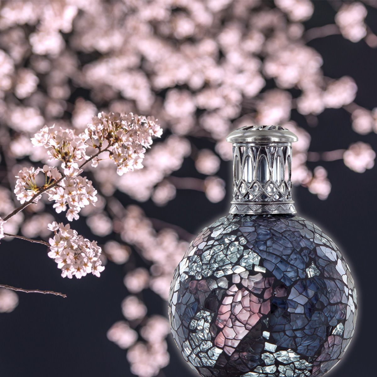 フレグランスランプS ミッドナイトブロッサム ASHLEIGH&BURWOOD