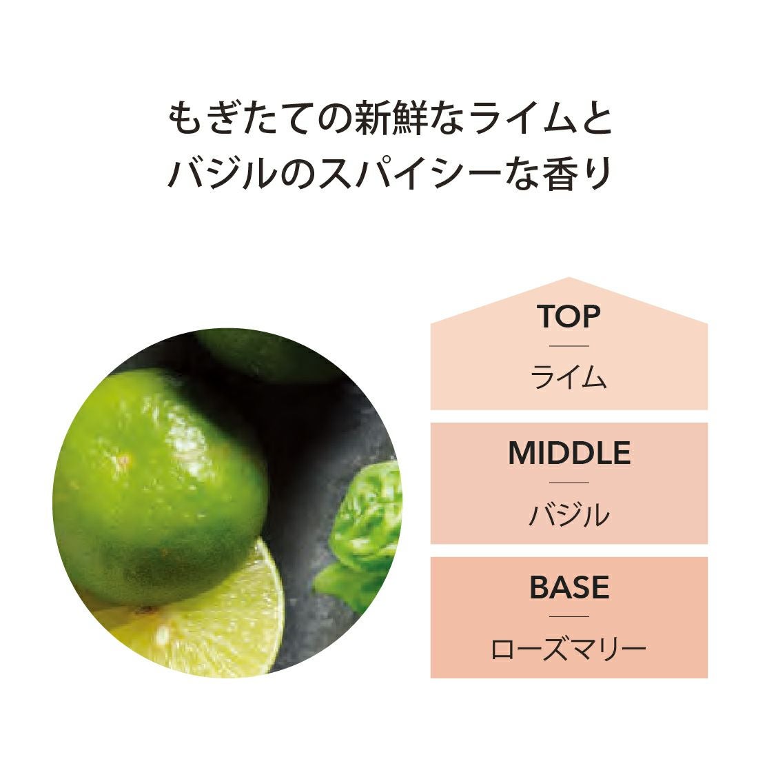 ランプフレグランス ライム＆バジル 500ml フレグランスランプ用オイル