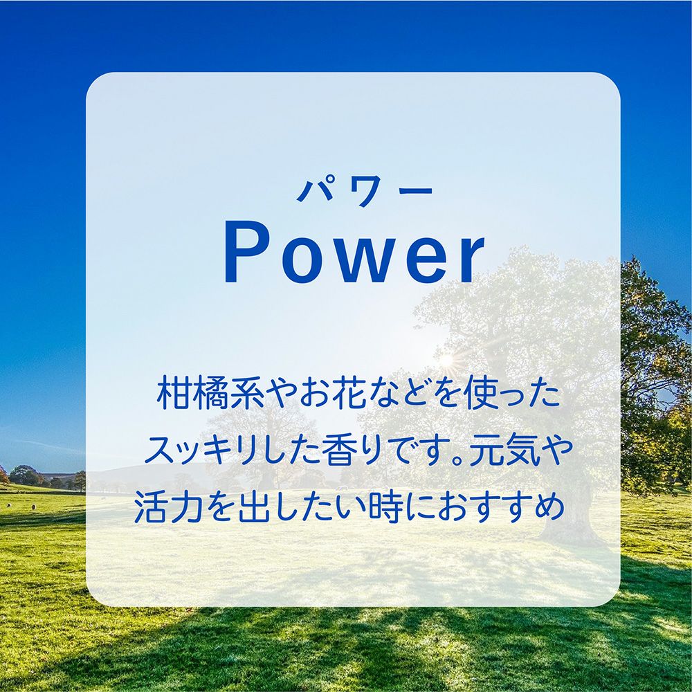 ランプフレグランス ライム＆バジル 500ml フレグランスランプ用オイル