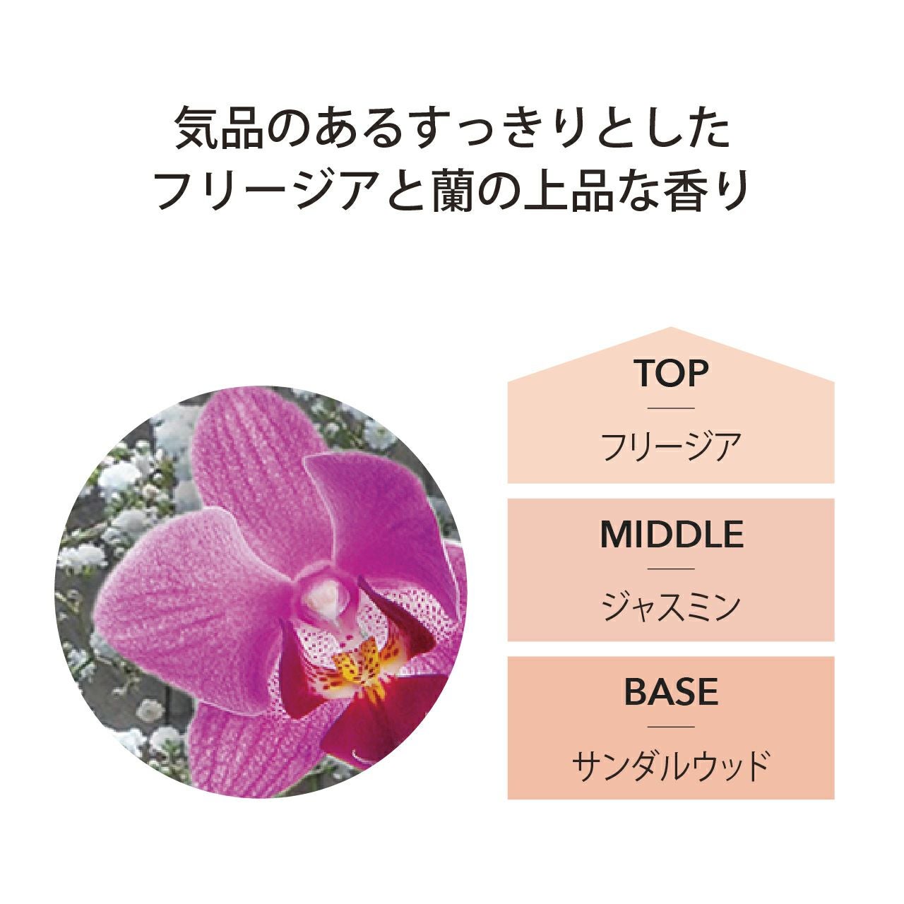 ランプフレグランス フリージア＆オーキッド 500ml フレグランスランプ