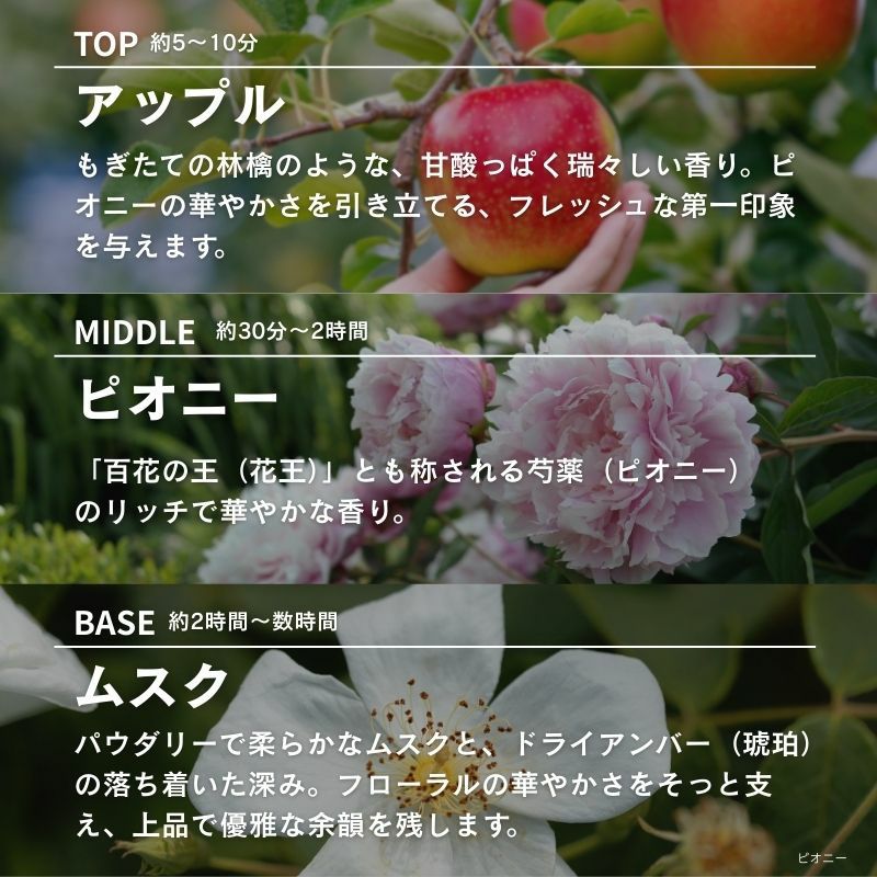 ランプフレグランス ピオニー 500ml フレグランスランプ用オイル