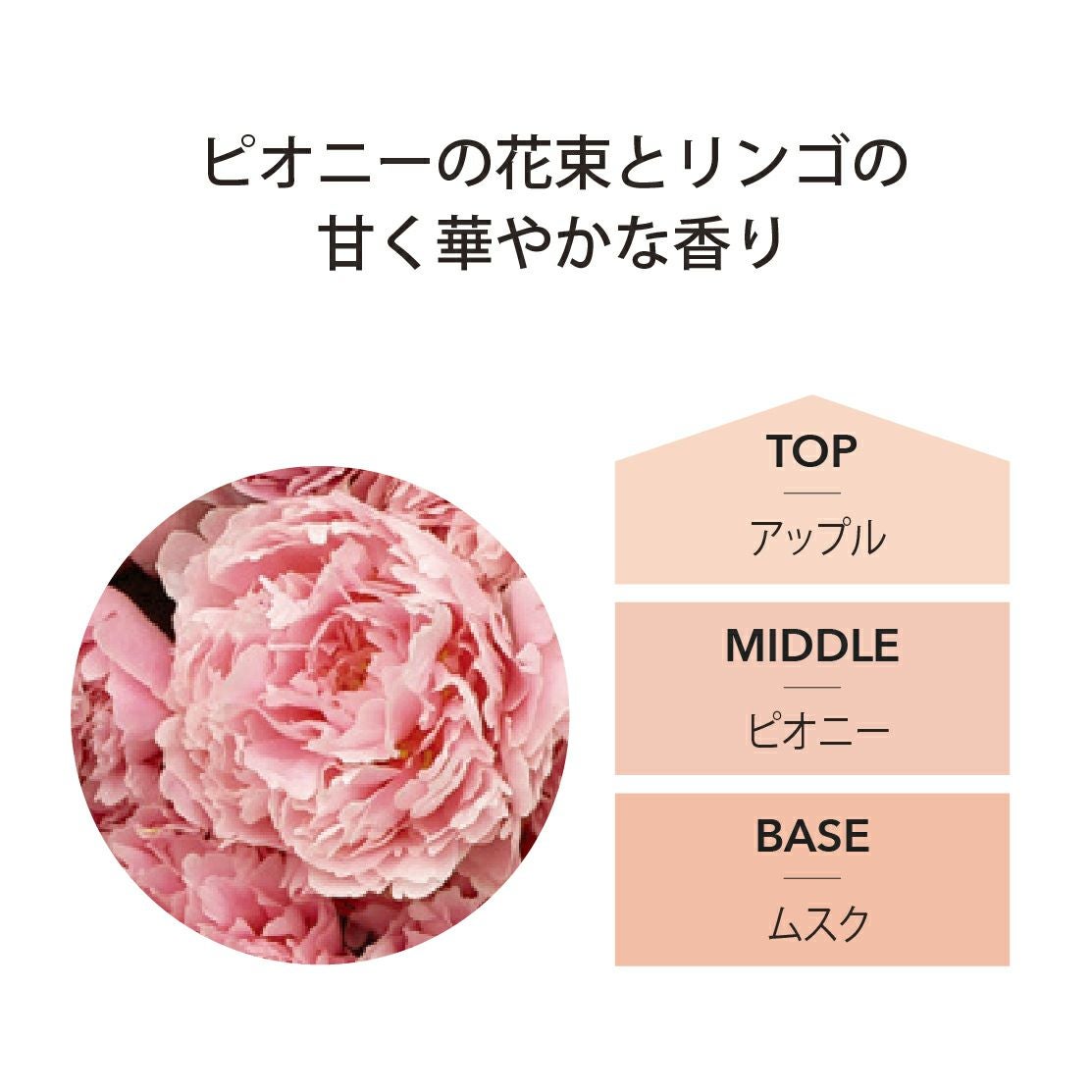 ディフューザー ピオニー 100ml ASHLEIGH&BURWOOD(アシュレイアンド ディフューザー ピオニー 100ml ASHLEIGH&BURWOOD(アシュレイアンド