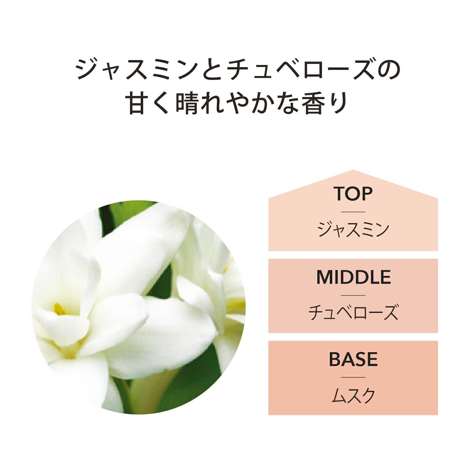 ディフューザー ジャスミン＆チュベローズ 100ml ASHLEIGH&BURWOOD