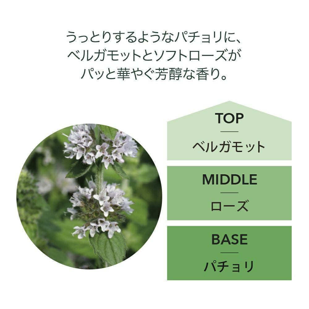 ランプフレグランス パチョリ 500ml フレグランスランプ用オイル