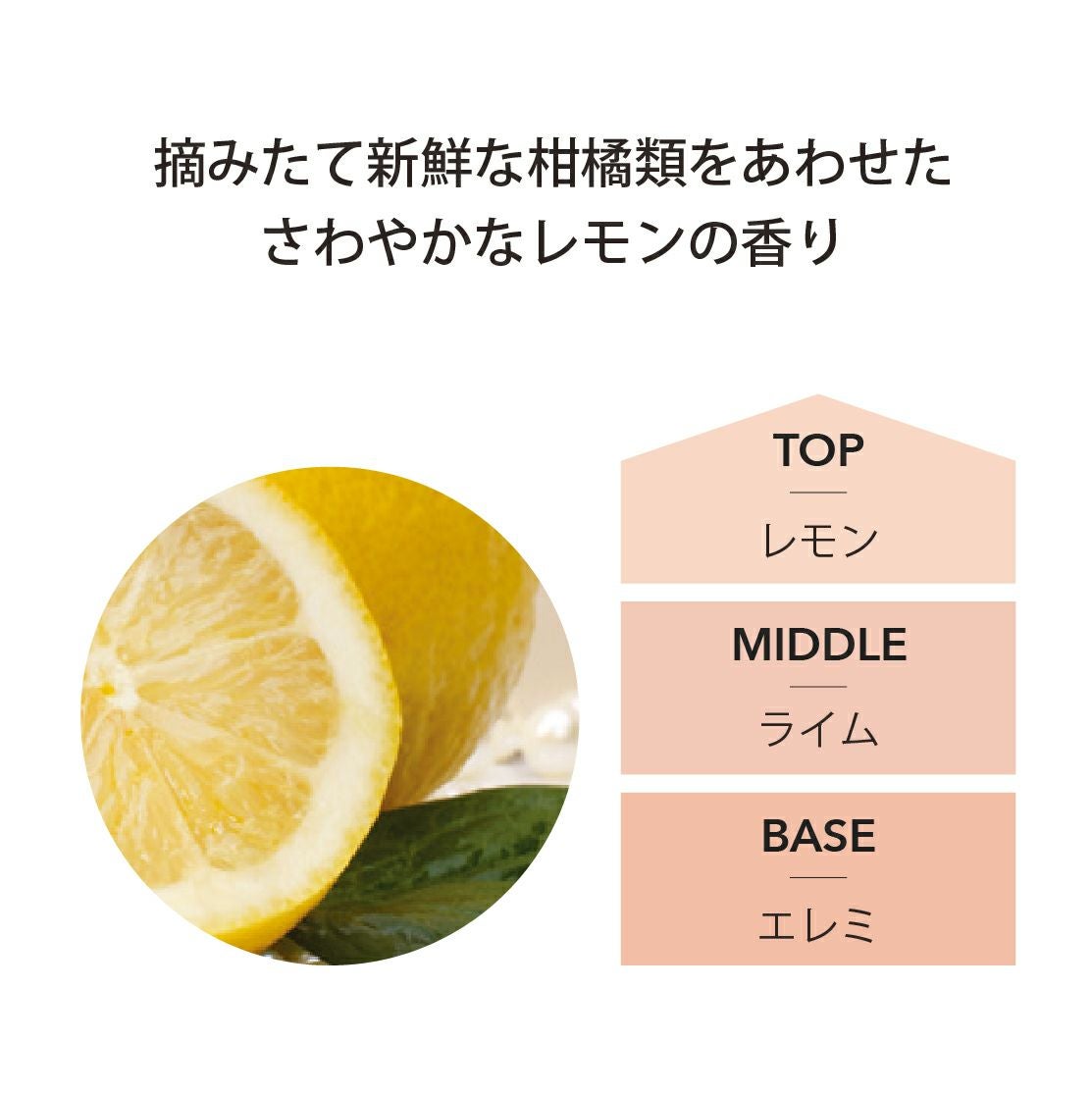 リリーらなんさま 専用 ラベンダー レモン パイン シトラスハーブブレンド（ラベンダー／シシリアンレモン