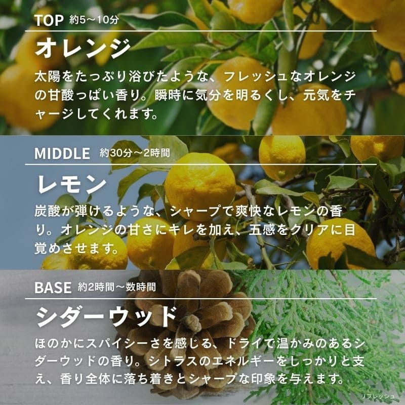 ランプフレグランス リフレッシュ wellbeing 500ml フレグランスランプ