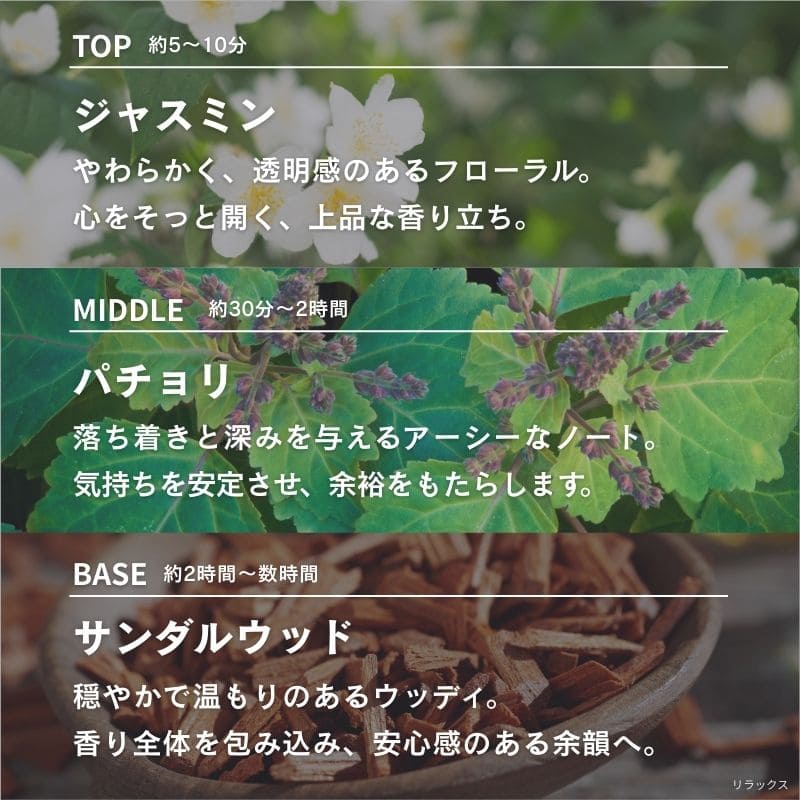 レア オールウェイズ パンフレット ＡＬＷＡＹＳ ＢＥ ＴＲＵＥ 元チューリップ レア オールウェイズ パンフレット ALWAYS BE TRUE 元