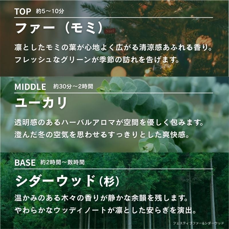 Xmas限定】クリスマスギフトセット フェスティブ ファー＆シダーウッド